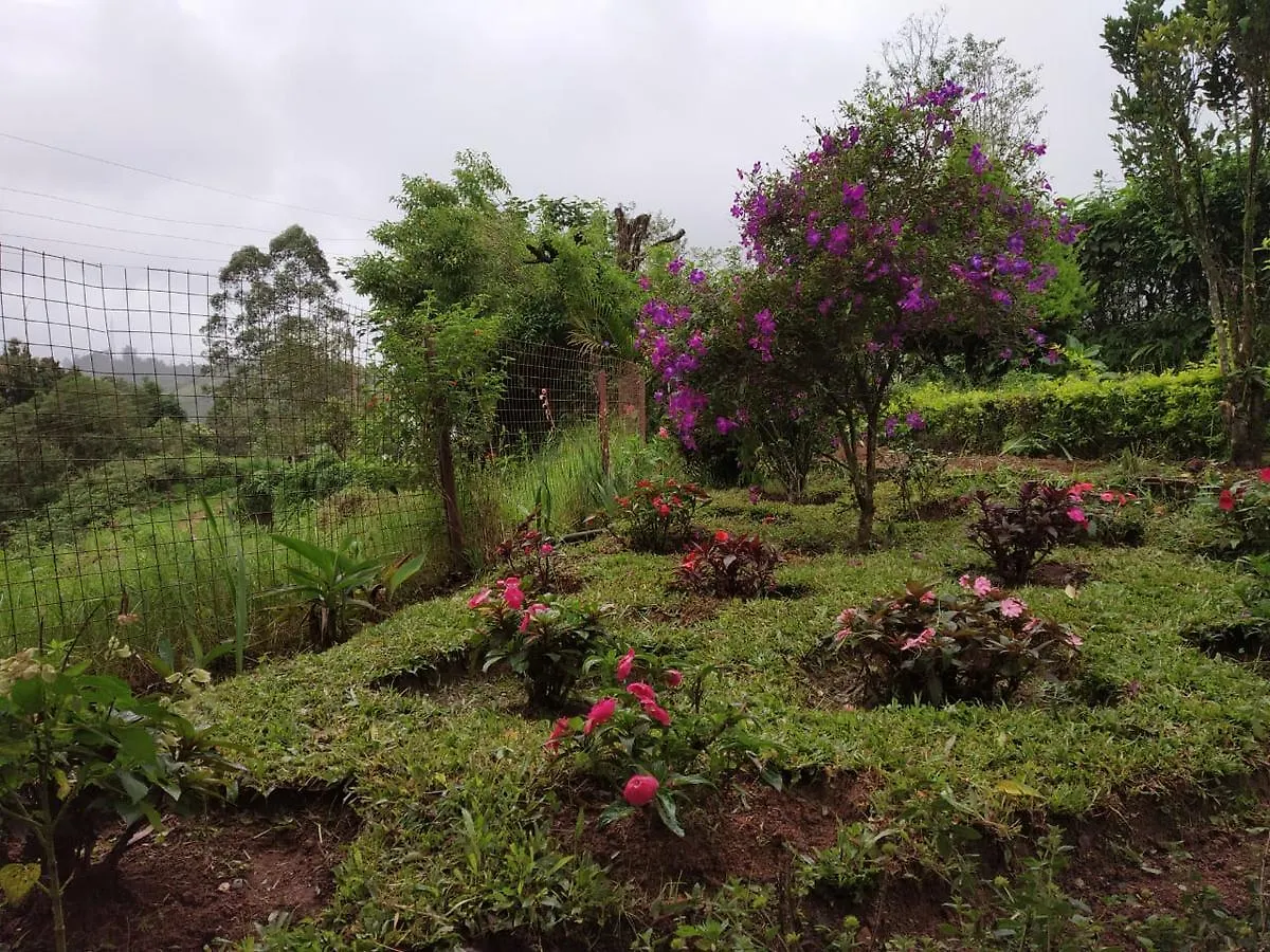 Hotel Rheinberg Town Haus Munnar 3*,  India